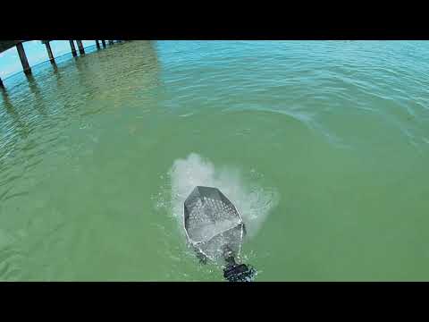 GOLD RING FOUND ON CLEARWATER BEACH!!