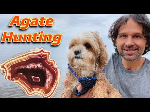 A Rockhound Dream | Lake Superior Agate Hunting!