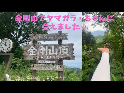 金剛山に登りヤマガラちゃんに会いました♪