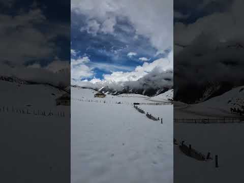 Snow Covered Sonmarg Kashmir 🤍🤍 #shorts #sonmarg #snowfall