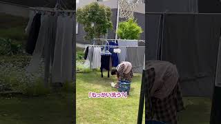 迷い猫と妻が、お庭でイチャイチャ。