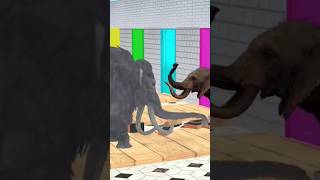 Fountain crossing animals video| Choose the right door| #fountaincrossing #crossingfountain