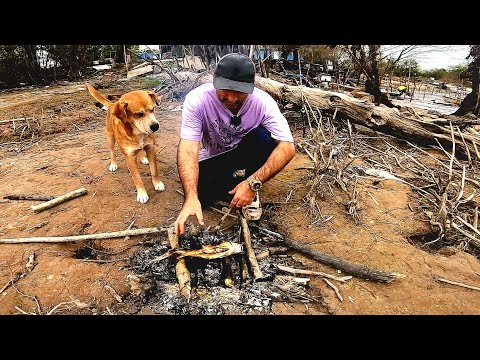 Acampando solo, pesca y cocina. pesca urbana