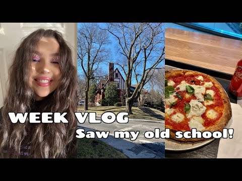 VLOG 29: A few days with me! Bookstores, My School, Shopping, New Makeup +More.