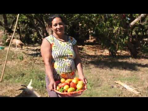 Familias productoras en búsqueda del conocimiento agroecológico