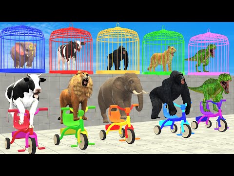 Cow Mammoth Elephant Tiger Buffalo Guess The Right Animal ESCAPE CAGE CHALLENGE MYSTERY BOX