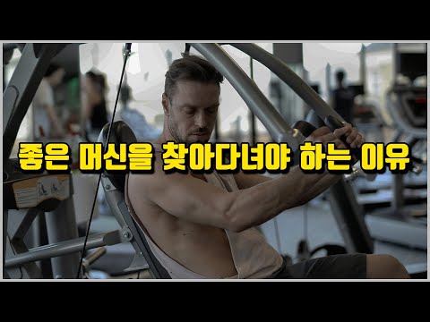 프리웨이트 VS 머신 근성장 비교 분석 최신 논문