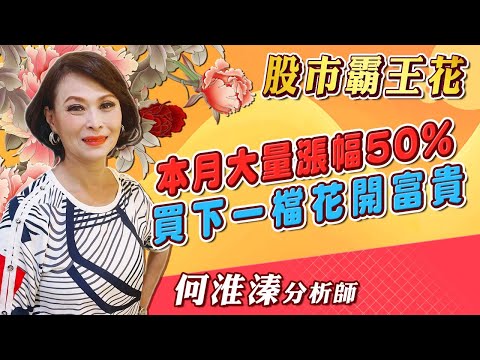 2024/09/23 股市霸王花 何淮溱 本月大量漲幅50% 買下一檔花開富貴.