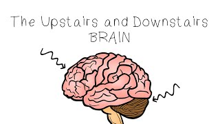 Upstairs Brain Downstairs Brain - SEL Sketches