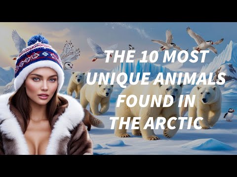 The 10 Most Unique Animals Found in the Arctic