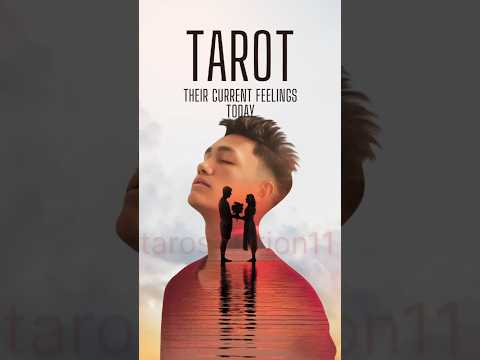 person on my mind current feeling tarot.Emotions and feelings.#Shorts#tarotreading#nextaction