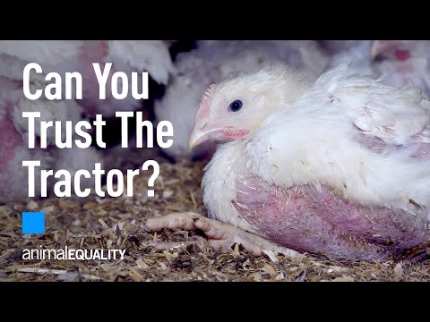 Can You Trust The Tractor? Behind the Red Tractor Logo