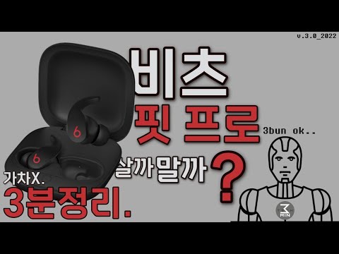 비츠 핏프로 살까말까? 악독한 3분정리.