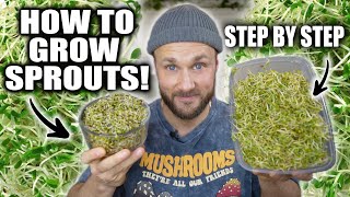 How To Grow Sprouts & Why They Are AMAZING! 🌱