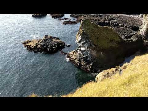 Cliffs at Londrangar, Iceland