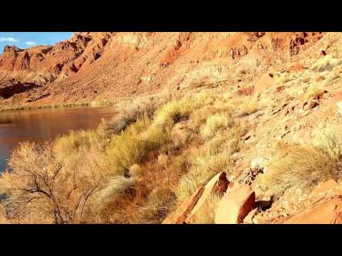 Lees Ferry National Park