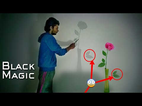 Shadow cutting black magic effects with kinemaster