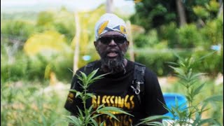 Asafo Weedamiah - Blessings pon Blessings | Official Music Video