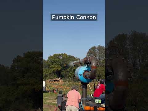 Ever shot a pumpkin? 🎃#pumpkinpatch #pumpkinfest