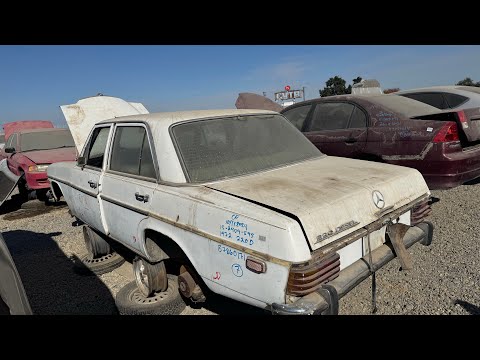 Day 1 of Junkyard Roadtrip to Las Vegas: 2 Junkyards in Fresno with Mercedes, BMWs, & Pack of Dogs!