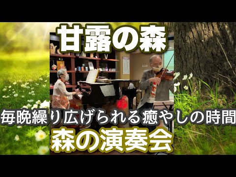 【ニセコ昆布温泉】甘露の森で癒しの森林浴＆音楽体験！『森の演奏会』