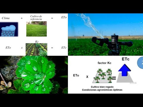 EVAPOTRANSPIRACION, (ETC) (ETO) (KC) for efficient irrigation in fruit trees, (ETP) (ETR).