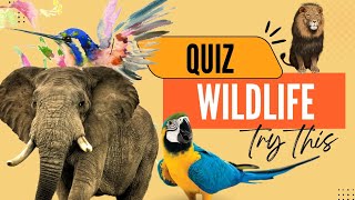 Wildlife day quiz|solved quiz on wildlife|world wildlife day|March 3