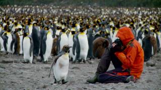 Antarctic Voyage on board mv Plancius -English