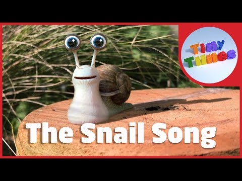 The Snail Song | Snail Facts For Kids | Tiny Tunes