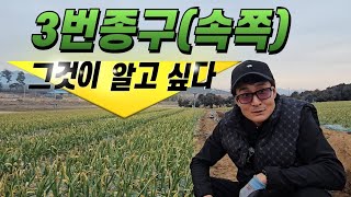 [마늘명가 TV]2025.03.12 마늘명가 TV에는 별개다 나옵니다.