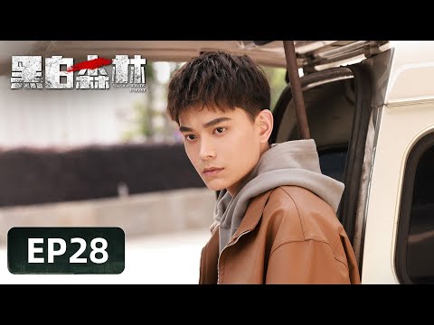 【警匪刑侦】《黑白森林》EP28——真相大白！正义曙光终于迎来（丁禹兮、宁理、韩雪）