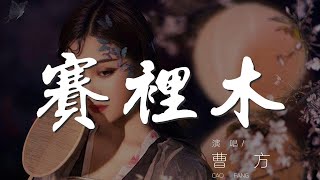 賽裏木 - 曹方『你 會忘記 寒冷  空氣中』【動態歌詞Lyrics】