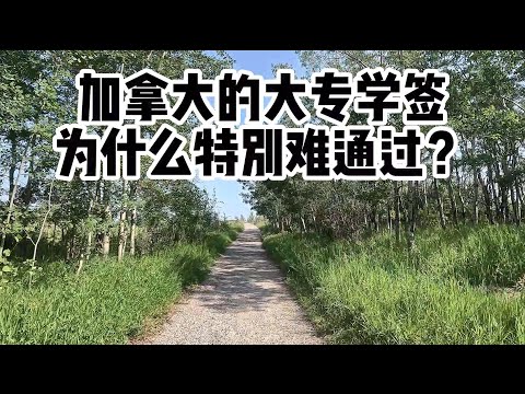 加拿大的大专学签为什么通过率低？