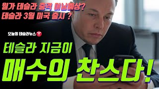 테슬라 지금이 매수의 찬스다! CFRA 게럿넬슨 테슬라 매수의 이유 인터뷰 번역, 예상주가 $530 반전 어닝 예상한다!