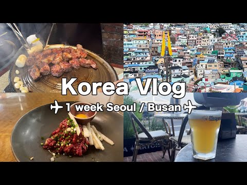 【vlog】1週間の韓国旅行🇰🇷ソウルと釜山で爆食の日々過ごした | 韓国旅行