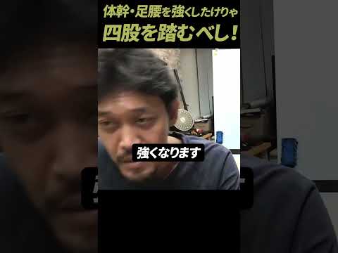 【ガチタマTV】体幹や足腰を鍛える最高のストレッチ＆トレーニング”四股” ！毎日やれば強くなります #Shorts【田村装備開発】