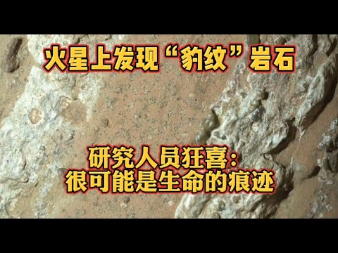 火星上发现“豹纹”岩石，研究人员狂喜：很可能是生命的痕迹