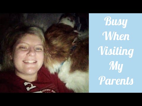 Lots of Things to do When Visiting Parents