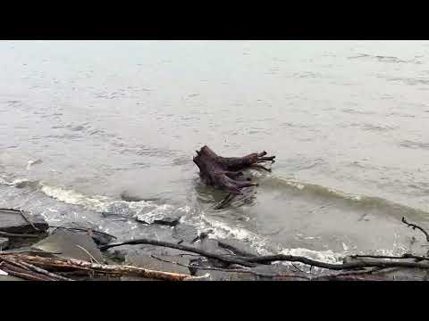 Water Crashing Loudly on Logs, Rocks, and Other Debri