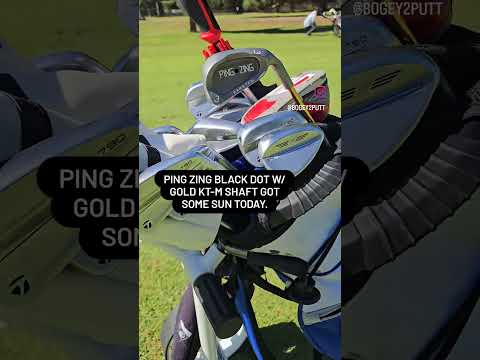 PING Zing Black Dot with GOLD KT-M shaft rolling with @BATCADDY #golf #ping #asmr