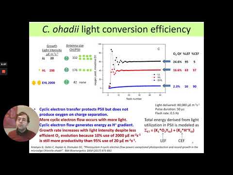 "Agricultural Lessons from the Fastest-Growing Phototroph: Chlorella ohadii" - Colin Gates