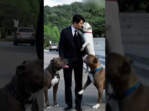 Yo Yeon Seok Playing with Dogs #ai #shorts #viral