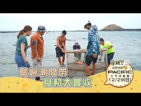 《精采預告》澎湖｜鳥嶼潮間帶 食材大豐收-第291集-2024/12/29