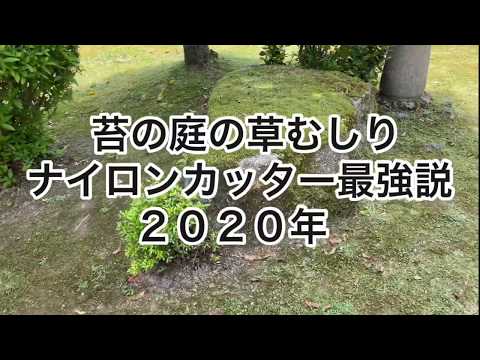 苔と芝生の庭。草むしり。ナイロンカッター最強説。2020年春。