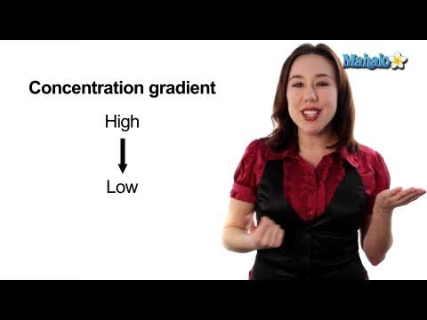 Learn Biology: Cells—Osmosis vs. Diffusion