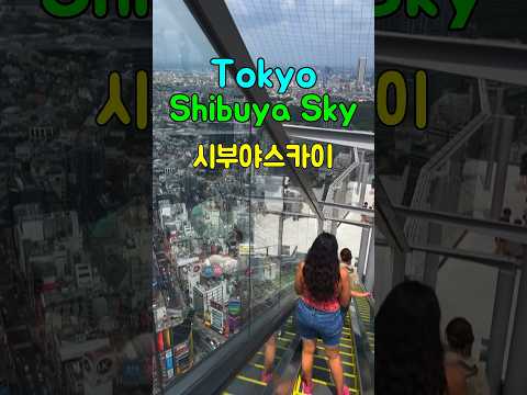 Tokyo Shibuya Sky(도쿄 시부야스카이)