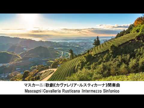 気持ちが落ち着くクラシック名曲集・Feel Calm Classical Music Collection（長時間作業用BGM)