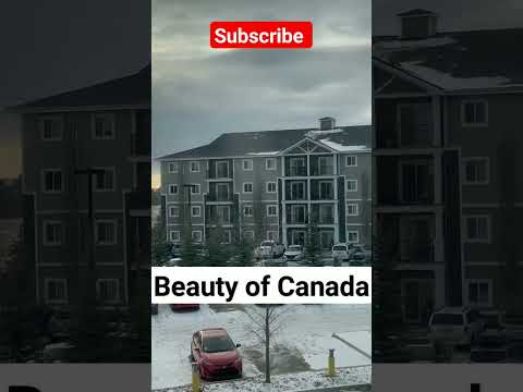 beauty of Canada, how wind flew away snow # #indianincanada #edmonton #canada #subscribe