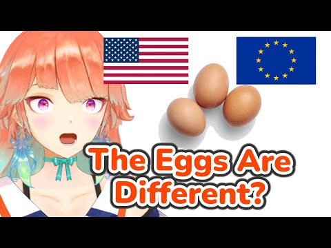 Kiara Was Surprised By This Difference Between America and EU