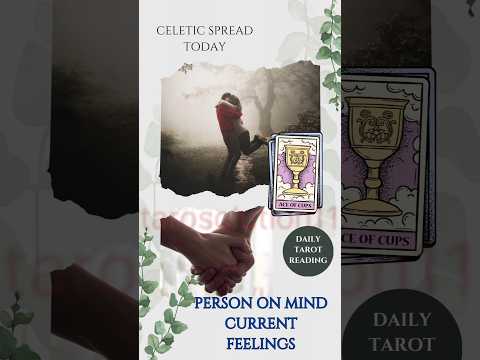 18 nov 2024 Person on mind current feelings. Emotions and feelings. Next action.#tarot #tarotreading